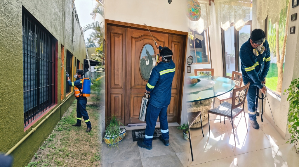 Servicio Residencial ALM